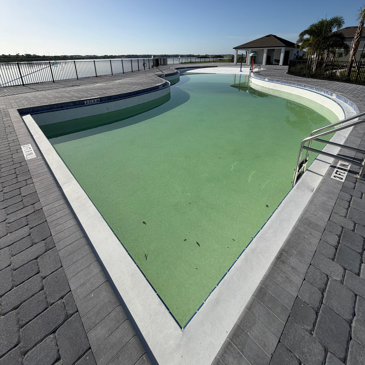 Community pool full of green algae water before recovery